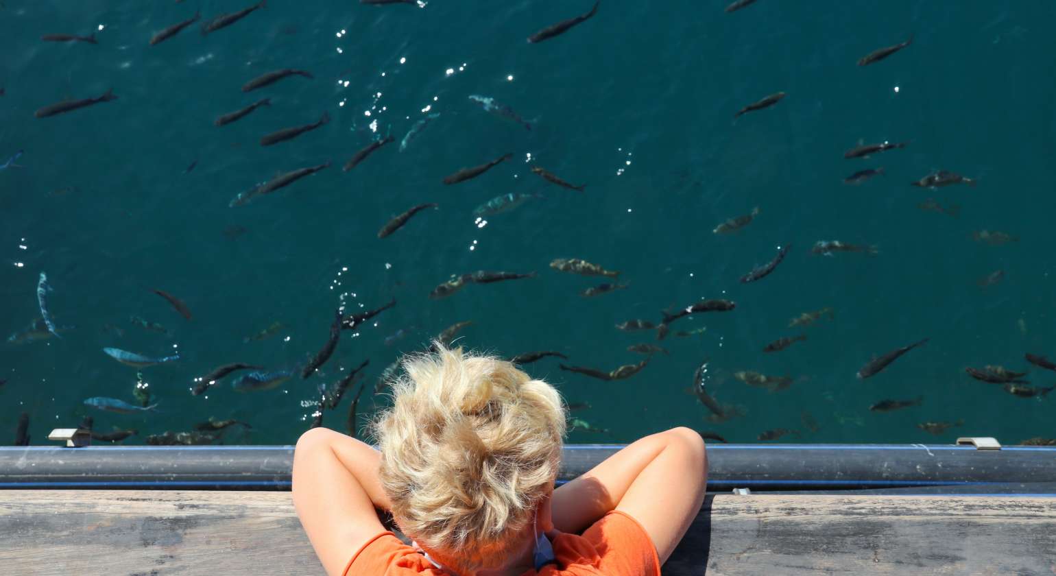 5 Tips to Remember when Deep-Sea Fishing With Your Kids
