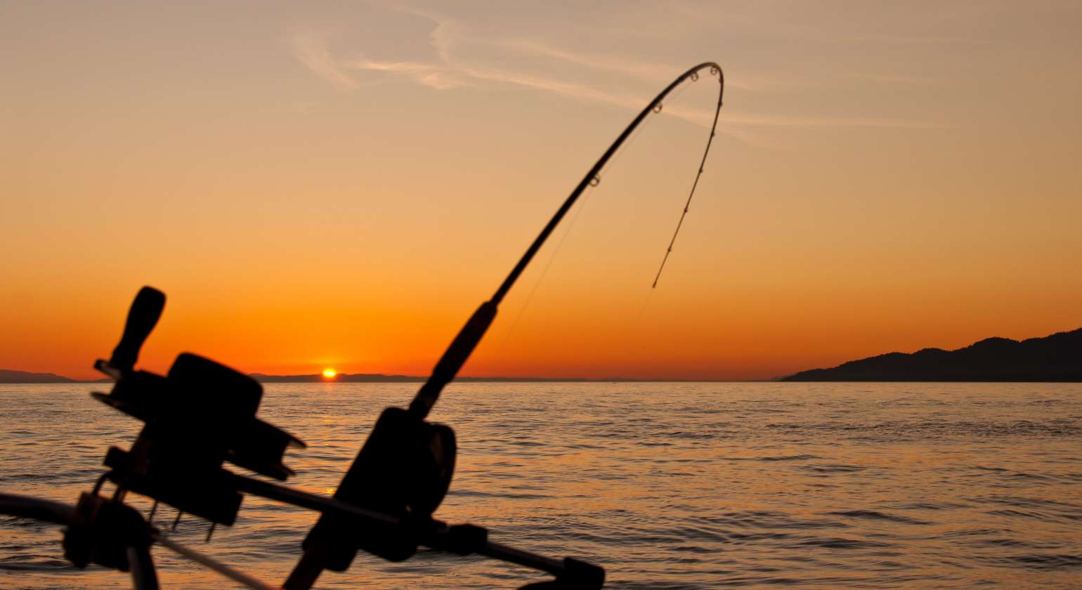 The Secrets You Need to Know When Fishing During Summertime