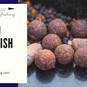 How to Make Fish Bait