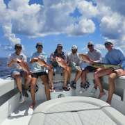 Types of Fish in Port Aransas