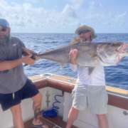 Guide to Amberjack Season in Texas
