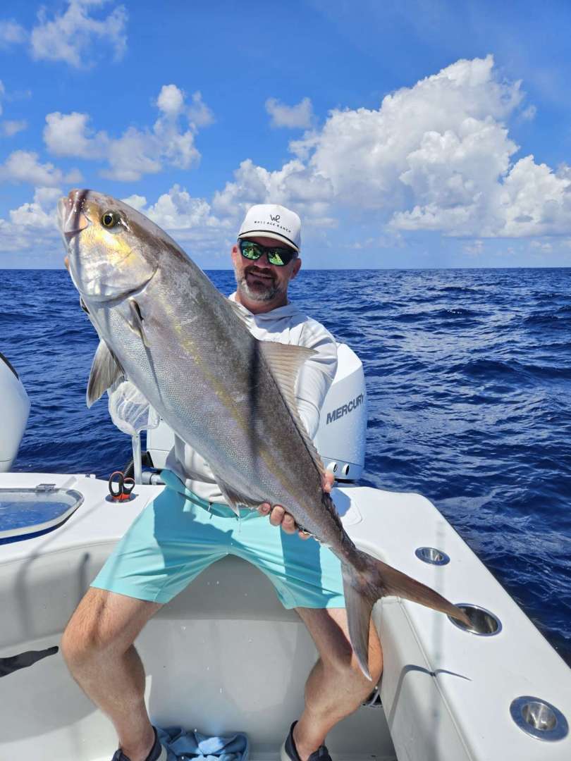 amberjack season in texas