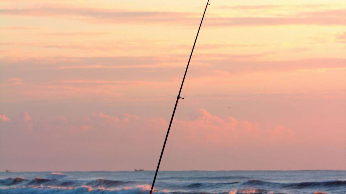 Port Aransas Beach Fishing: Local Tips and How It Compares to Bay and Offshore Trips